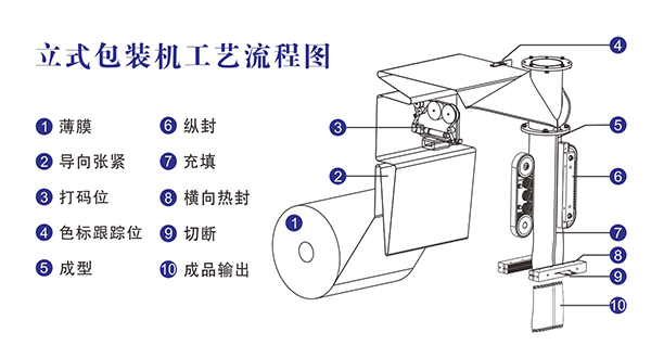 自动称重91看片网址原理结构及工艺流程