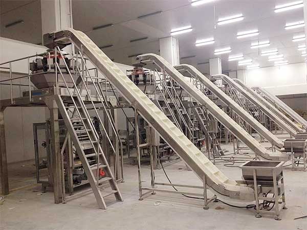智能化全自动速冻食品91看片网址提升企业生产效率